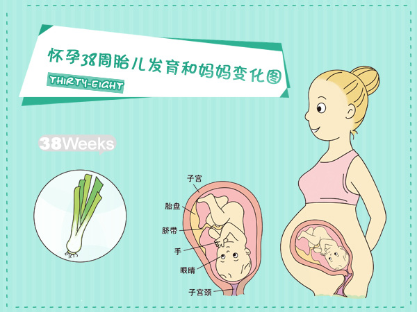 怀孕第38周